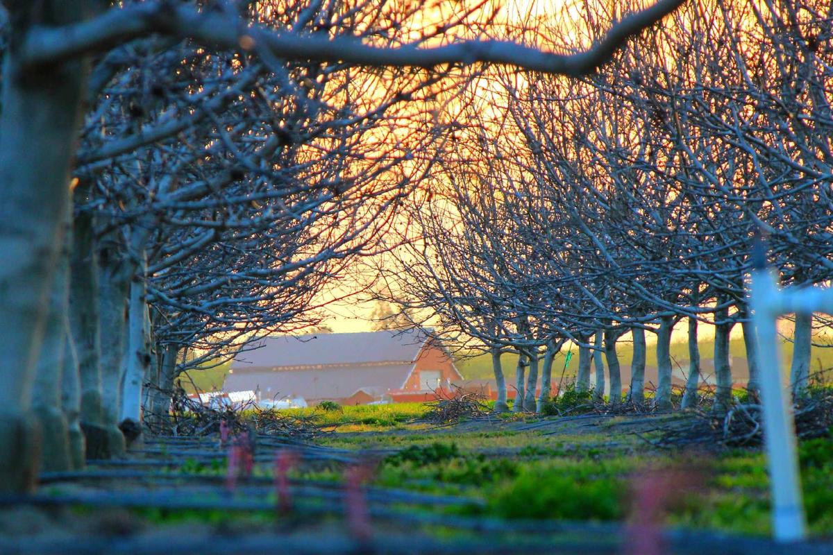 Xiaomi Watch S3 & Watch 2, Duo Smartwatch Terbaru Harga Mulai Rp1 Jutaan