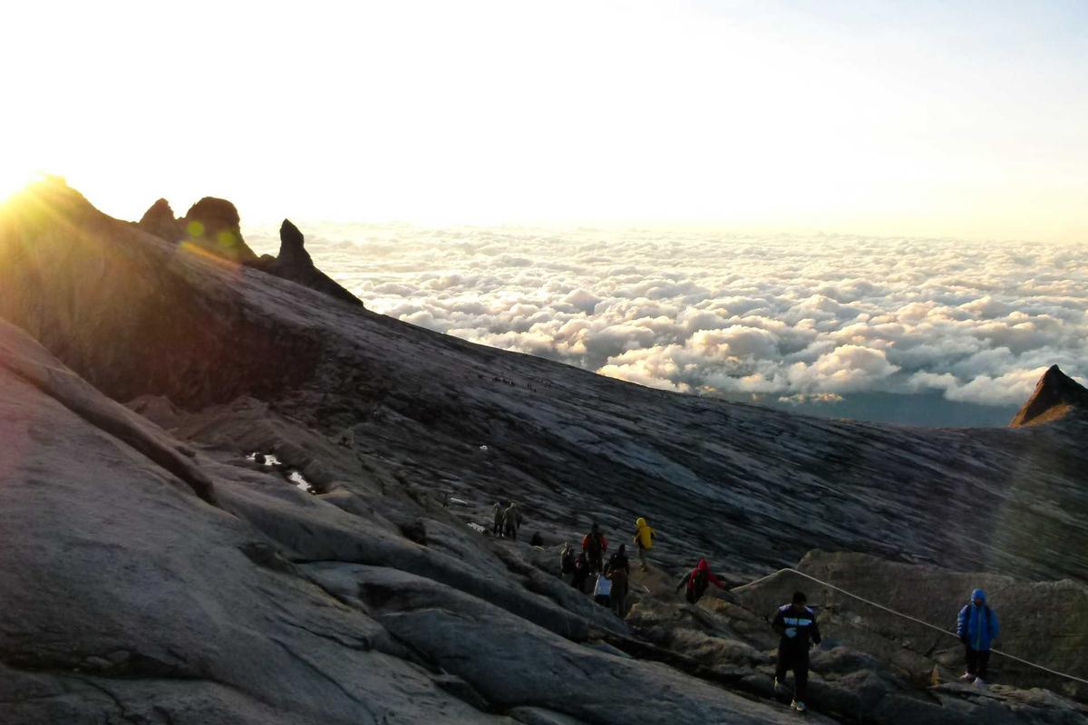 Gadget Wearable Lagi Hype Abis, Smartwatch & Smartband Laris Manis