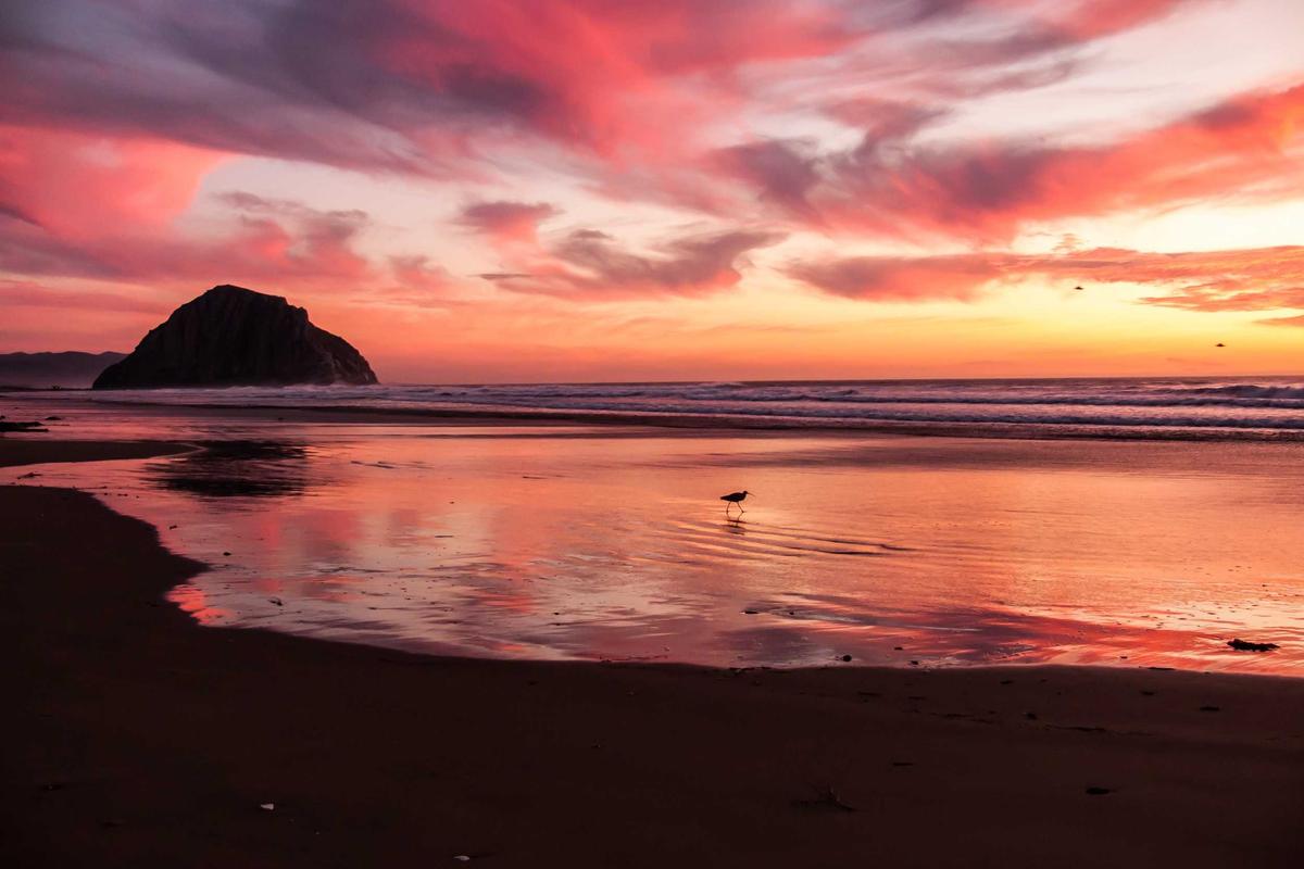 Tak Perlu Lama, Xiaomi Smart Band 10 Siap Rilis di Indonesia 7 Juli!