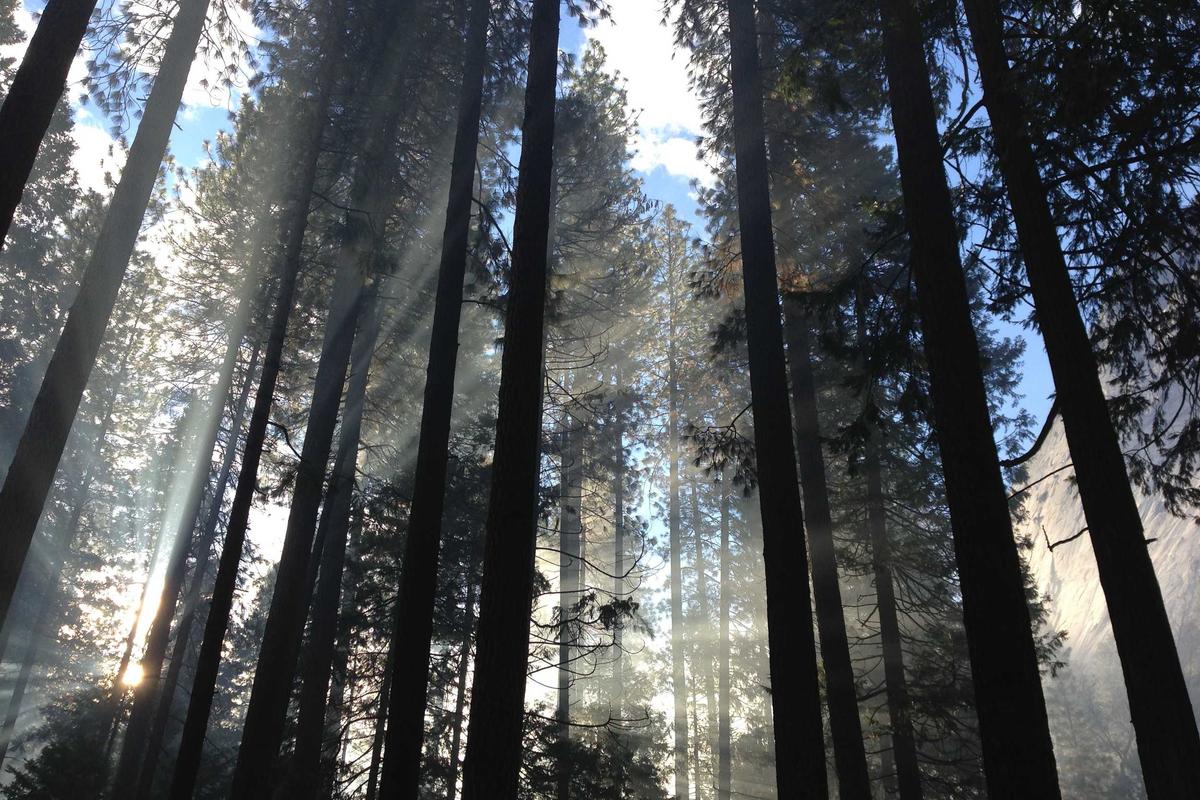 Xiaomi Watch S3 & Watch 2, Duo Smartwatch Terbaru Harga Mulai Rp1 Jutaan