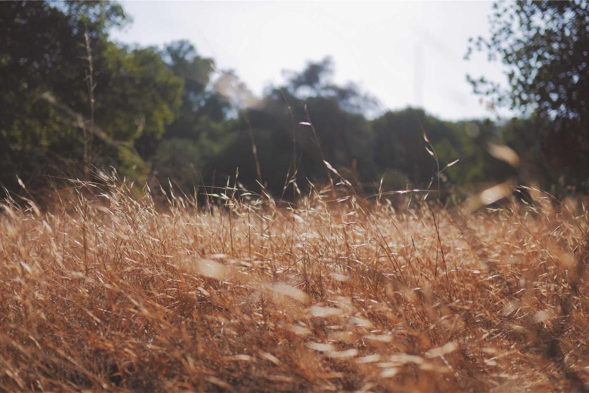 Xiaomi Watch S3 & Watch 2, Duo Smartwatch Terbaru Harga Mulai Rp1 Jutaan